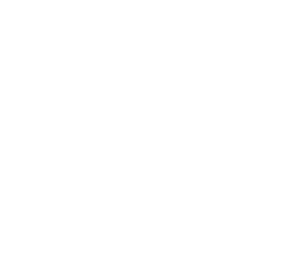 concorde logo footer